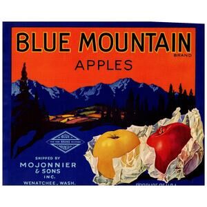 Blue Mountain Crate Label Apples Wenatchee Washington Vintage Fruit